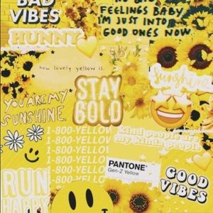 Meet your Posher, Ashritha